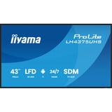 iiyama iiya 43 L LH4375UHS-B2AG 60Hz 4K IPS, Affichage public Noir (Mat)