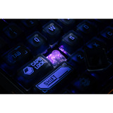 8BitDo clavier gaming Noir/Bleu, Layout États-Unis, Kailh Box Jellyfish Pro Glaze