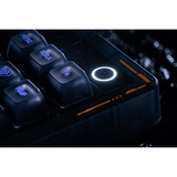 8BitDo clavier gaming Noir/Bleu, Layout États-Unis, Kailh Box Jellyfish Pro Glaze