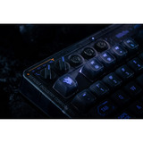 8BitDo clavier gaming Noir/Bleu, Layout États-Unis, Kailh Box Jellyfish Pro Glaze