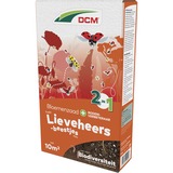 DCM Mélange de fleurs Coccinelles 0,520 kg, Graines Jusqu'à 10 m²