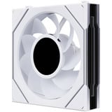 Lian Li UNI FAN SL-INF LCD FLEX 120 Reverse ventilateurs de boîtier RGB  Blanc, 3 pièces, 120 x 124 x 28 mm, PWM, contrôleur inclus