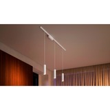 Philips Hue Kit de base Perifo pour plafond, droit (3 suspensions), Lampe Blanc