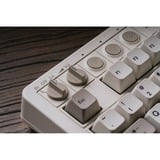 8BitDo Retro Mechanical Keyboard M Edition, clavier gaming Gris/rouge foncé, Layout États-Unis, Kailh Box White, TKL, Bluetooth Low Energy, Wireless 2.4G, USB