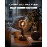 Govee Edison Bulb G80 E27 (2 pièces), Lampe à LED Transparent, Wi-Fi, Bluetooth