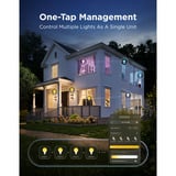 Govee Edison Bulb G80 E27 (2 pièces), Lampe à LED Transparent, Wi-Fi, Bluetooth