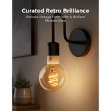 Govee Edison Bulb G80 E27 (2 pièces), Lampe à LED Transparent, Wi-Fi, Bluetooth