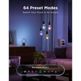 Govee Edison Bulb G80 E27 (2 pièces), Lampe à LED Transparent, Wi-Fi, Bluetooth