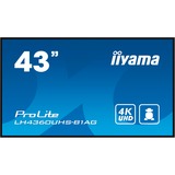 iiyama LH4360UHS-B1AG, Affichage public Noir (Mat)