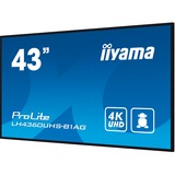 iiyama LH4360UHS-B1AG, Affichage public Noir (Mat)