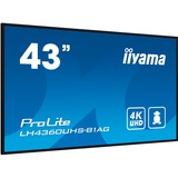 iiyama ProLite LH4360UHS-B1AG, Affichage public Noir (Mat), HDMI, WiFi, USB, Audio, Android