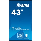 iiyama ProLite LH4360UHS-B1AG, Affichage public Noir (Mat), HDMI, WiFi, USB, Audio, Android