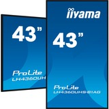 iiyama ProLite LH4360UHS-B1AG, Affichage public Noir (Mat), HDMI, WiFi, USB, Audio, Android