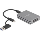 DeLOCK USB Type-C SD and CFexpress, Lecteur de carte Gris