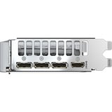 GIGABYTE GeForce RTX 5060 EAGLE OC ICE 8G, Carte graphique 3x DisplayPort, 1x HDMI, DLSS 4
