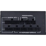 Lian Li SP850 alimentation  modulaire 850 watt Noir, 3x PCIe