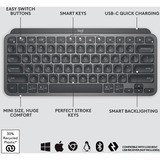 Logitech MX Keys Mini Minimalist Wireless, clavier Graphite, Layout US (QWERTY), Bluetooth