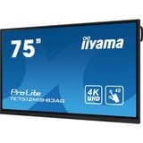 iiyama Prolite TE7512MIS-B3AG, Affichage public Noir, 4K UHD, tactile, WiFi, VGA, HDMI, USB-C, LAN, audio