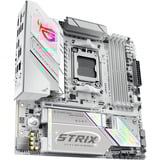 ASUS  carte mère socket AM5 