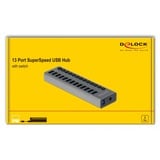 DeLOCK Hub USB SuperSpeed externe avec 13 ports 