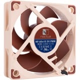 Noctua NF-A6x15 5V PWM ventilateur de boîtier 60 x 60 x 15 mm