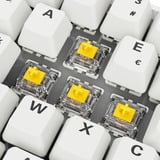 Sharkoon clavier gaming Blanc, Layout BE, Gateron G Pro 3.0 Yellow