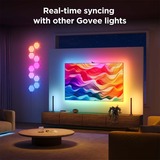 Govee Envisual Smart TV Backlight 3S, Bande LED Wi-Fi 2,4 GHz, Bluetooth, pour les téléviseurs de 55 à 65 pouces