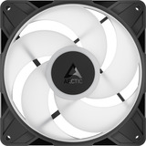 ARCTIC ARCTIC P14 Pro Reverse A-RGB ventilateur de boîtier Noir, 140 x 140 x 30 mm, PWM, 140 x 140 x 30 mm, PWM