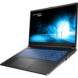Erazer Scout E20 (MD62521) 17.3" PC portable gaming  Noir | Core i5-13420H | RTX 4050 | 16 Go | SSD 512 Go | 144 Hz