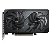 GIGABYTE GeForce RTX 5050 WINDFORCE OC 8G, Carte graphique 2x DisplayPort, 2x HDMI, DLSS 4
