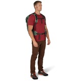 Osprey Sportlite 25, Sac à dos Vert olive, 25 Litres, M/L, Vert feuille de pin