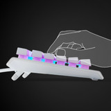 SteelSeries Apex 3 TKL RGB clavier gaming Blanc, Layout US (QWERTY), SteelSeries Whisper-Quiet, 80 % (TKL)