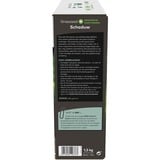 DCM Semences de gazon Plus Shade 1.5 kg, Graines Jusqu'à 75 m²