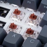 Sharkoon Gateron Pro 3.0 Brown, Switch pour clavier Marron/transparent