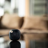 Shelly BLU Button Tough, Palpeur Noir