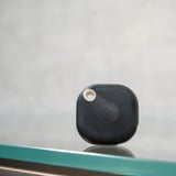 Shelly BLU Button Tough, Palpeur Noir