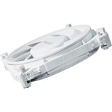 be quiet! Silent Wings 4 PWM high-speed ventilateur de boîtier Blanc, 120 x 120 x 25 mm, Ventilateur, 12 cm, 2500 tr/min, 130,3 m³/h, Blanc