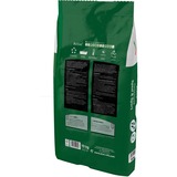 DCM Semences de gazon Play & Sports 10 kg, Graines Jusqu'à 500 m²