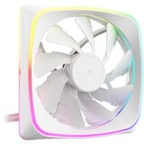 Sharkoon SHARK Lights RGB PWM ventilateur de boîtier Blanc, 120 x 120 x 25 mm