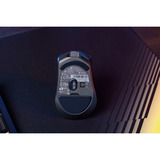 Corsair Corsair HARPOON V2 Wireless bk, Souris gaming Noir