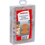 fischer Cheville hêtre