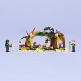 LEGO 75687, Jouets de construction 