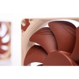 Noctua NF-A9x14 ventilateur de boîtier Marron, 92 x 92 x 14 mm, PWM