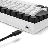 Sharkoon SKILLER SGK50 S2 RGB clavier gaming mécanique Blanc, Layout BE (AZERTY), Gateron Brown, 96 %, Hot-swappable