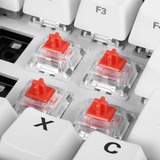 Sharkoon Linear Gateron PRO RED Touches de clavier, Switch pour clavier Rouge/transparent, Touches de clavier, Rouge, Blanc