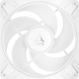 ARCTIC P14 Pro Reverse A-RGB ventilateur de boîtier Blanc, 140 x 140 x 30 mm, PWM, Ventilateur, 14 cm, 166,5 m³/h, Blanc
