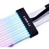 Lian Li Strimer Plus V2 16-12, Câble d'extension 0,32 mètres, RGB LED