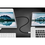 goobay USB-C 4.0 > DisplayPort, Adaptateur Noir/Argent, 3 mètres