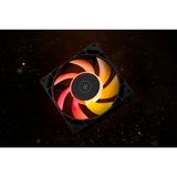 EKWB EK-Loop Fan FPT 140 D-RGB, Ventilateur de boîtier Noir, 600-2200rpm