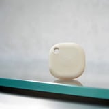 Shelly BLU Button Tough, Palpeur Champagne